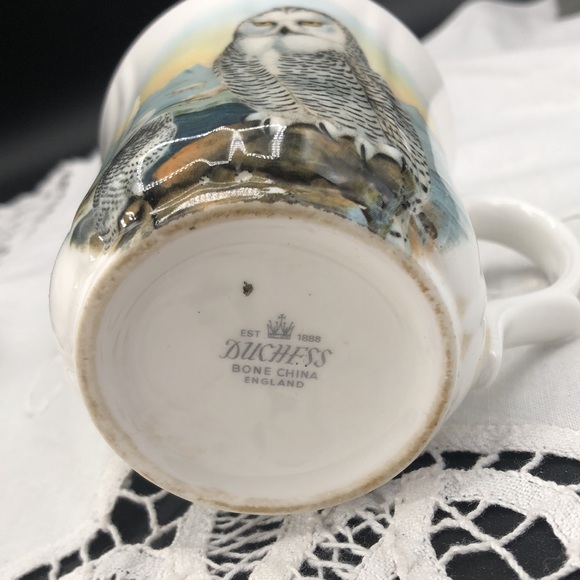 Rare Vintage Duchess Fine Bone China Snowy Owl and Landscape Coffee Cup - Picture 3 of 4
